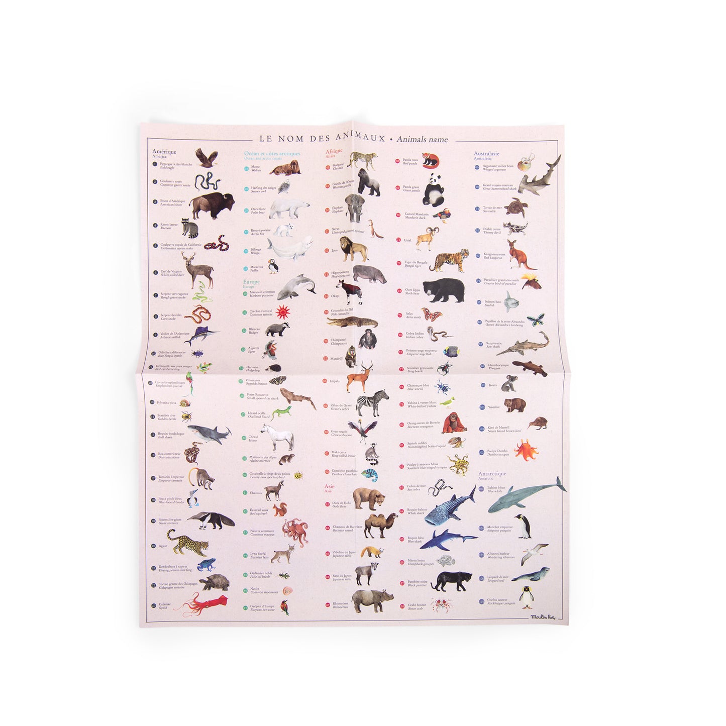 Mappamondo con adesivi animali