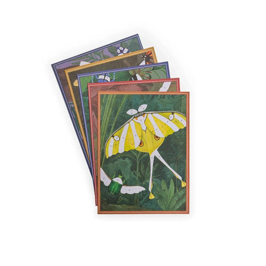 Carte fantastiche Tout autour du monde - Munakids