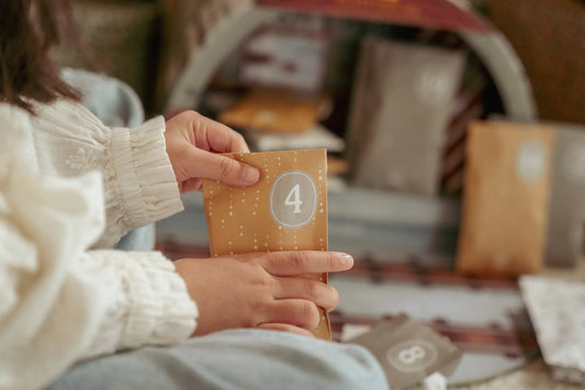 Calendario dell'Avvento Ferrovia Natalizia - Valigetta FSC