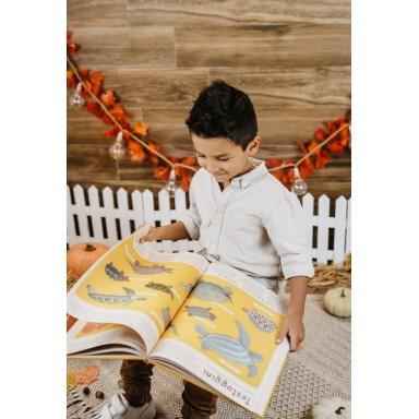 Set "Grandi Avventure" – Enciclopedia degli Animali e Binocolo Sassi & Moulin Roty – 6+ anni