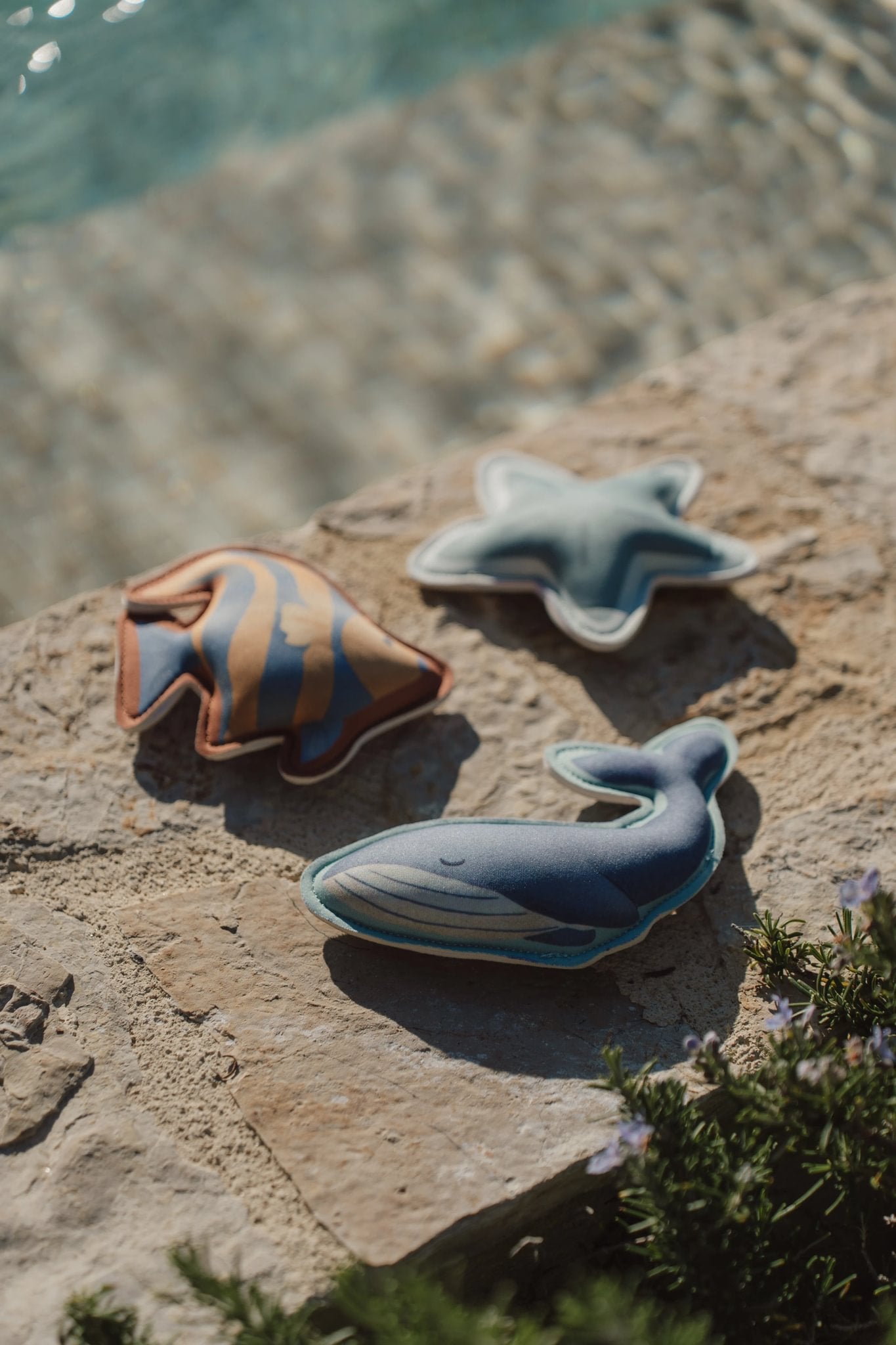 Gioco sagome per il bagnetto Ocean World