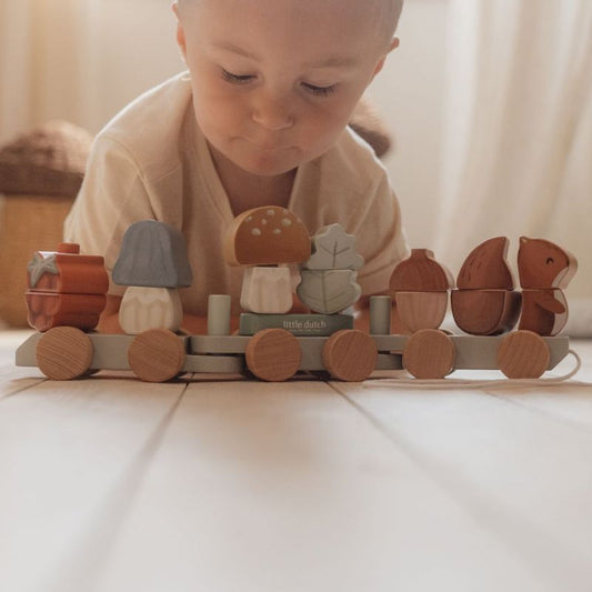 Trenino con costruzioni scoiattolo