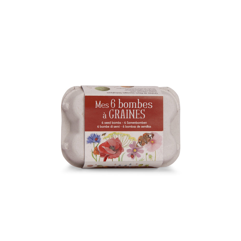 Scatola 6 uova Semini Il Giardino