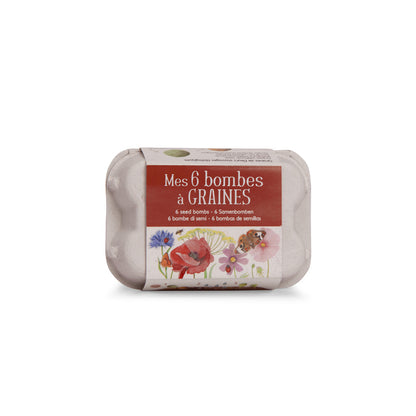 Scatola 6 uova Semini Il Giardino