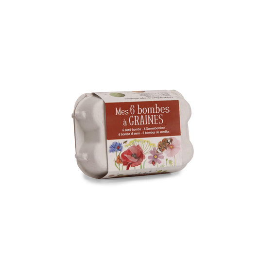 Scatola 6 uova Semini Il Giardino