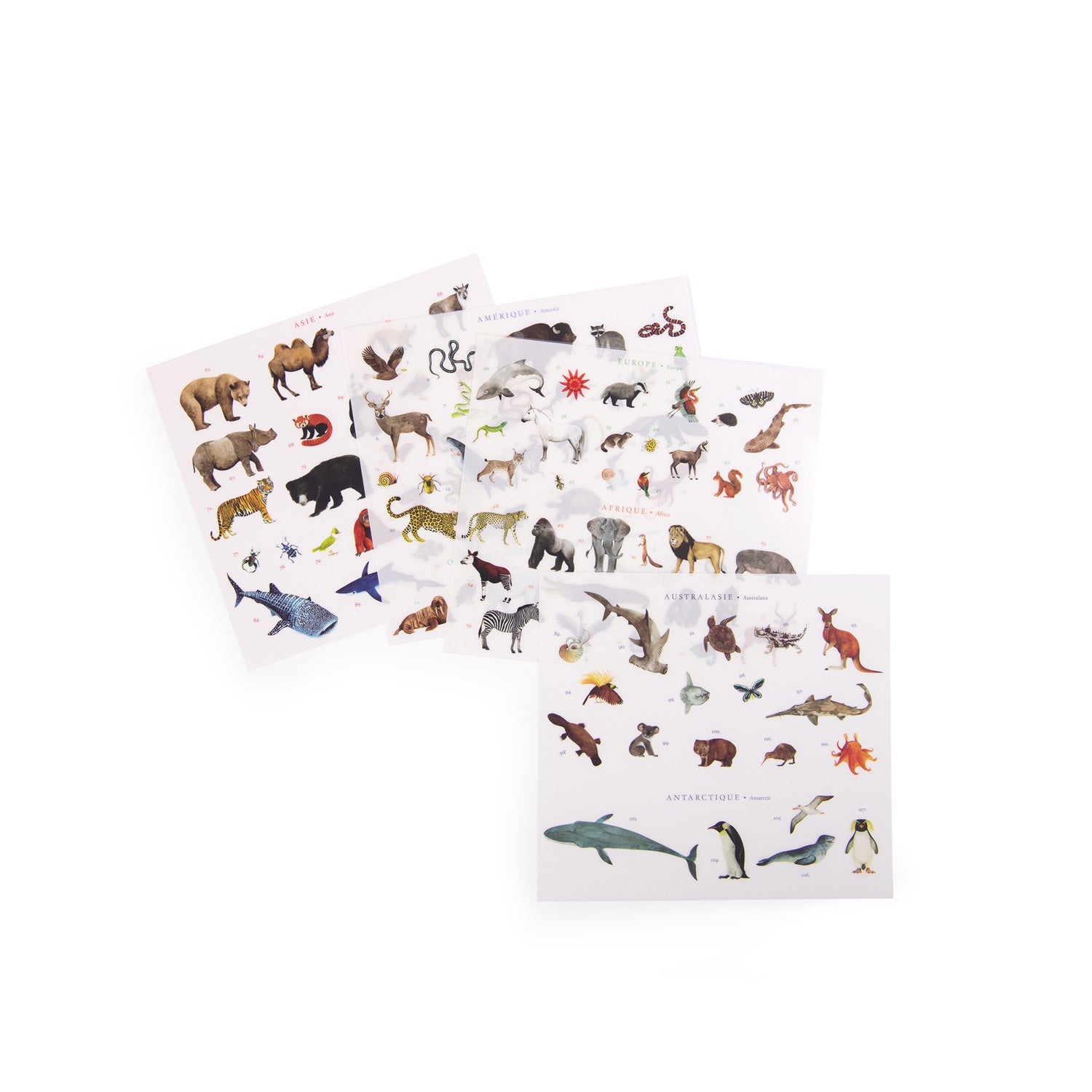 Mappamondo con adesivi animali