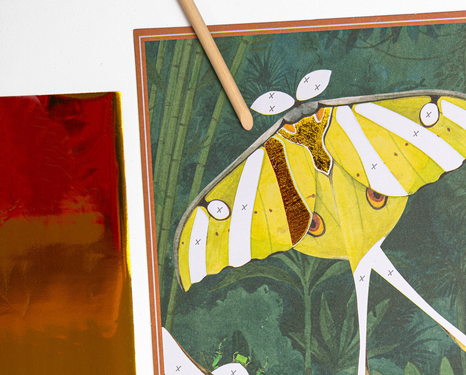 Carte fantastiche Tout autour du monde