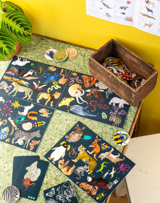 Chi Cerca Trova Tout autour du monde Moulin Roty - Gioco Bambini 4+ Anni