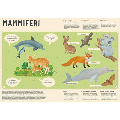 Enciclopedia degli Animali - Libro Sassi Junior - Bambini 6+ Anni - Munakids