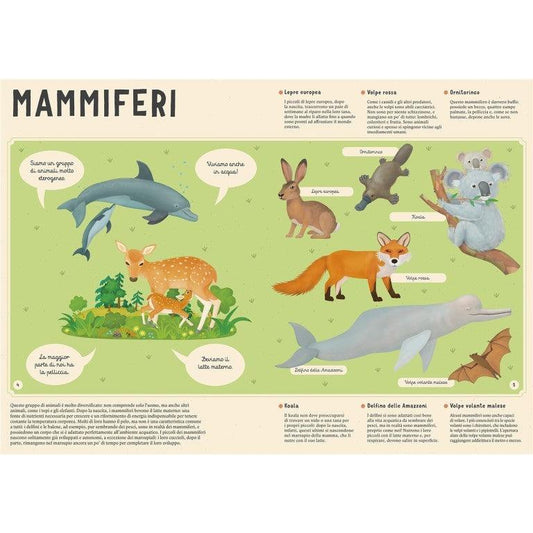 Enciclopedia degli Animali - Libro Sassi Junior - Bambini 6+ Anni - Munakids