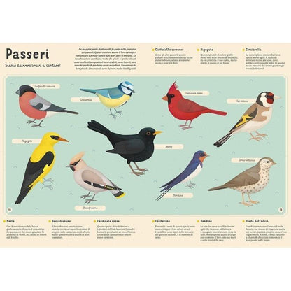 Enciclopedia degli Animali - Libro Sassi Junior - Bambini 6+ Anni - Munakids