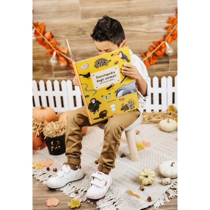 Enciclopedia degli Animali - Libro Sassi Junior - Bambini 6+ Anni - Munakids