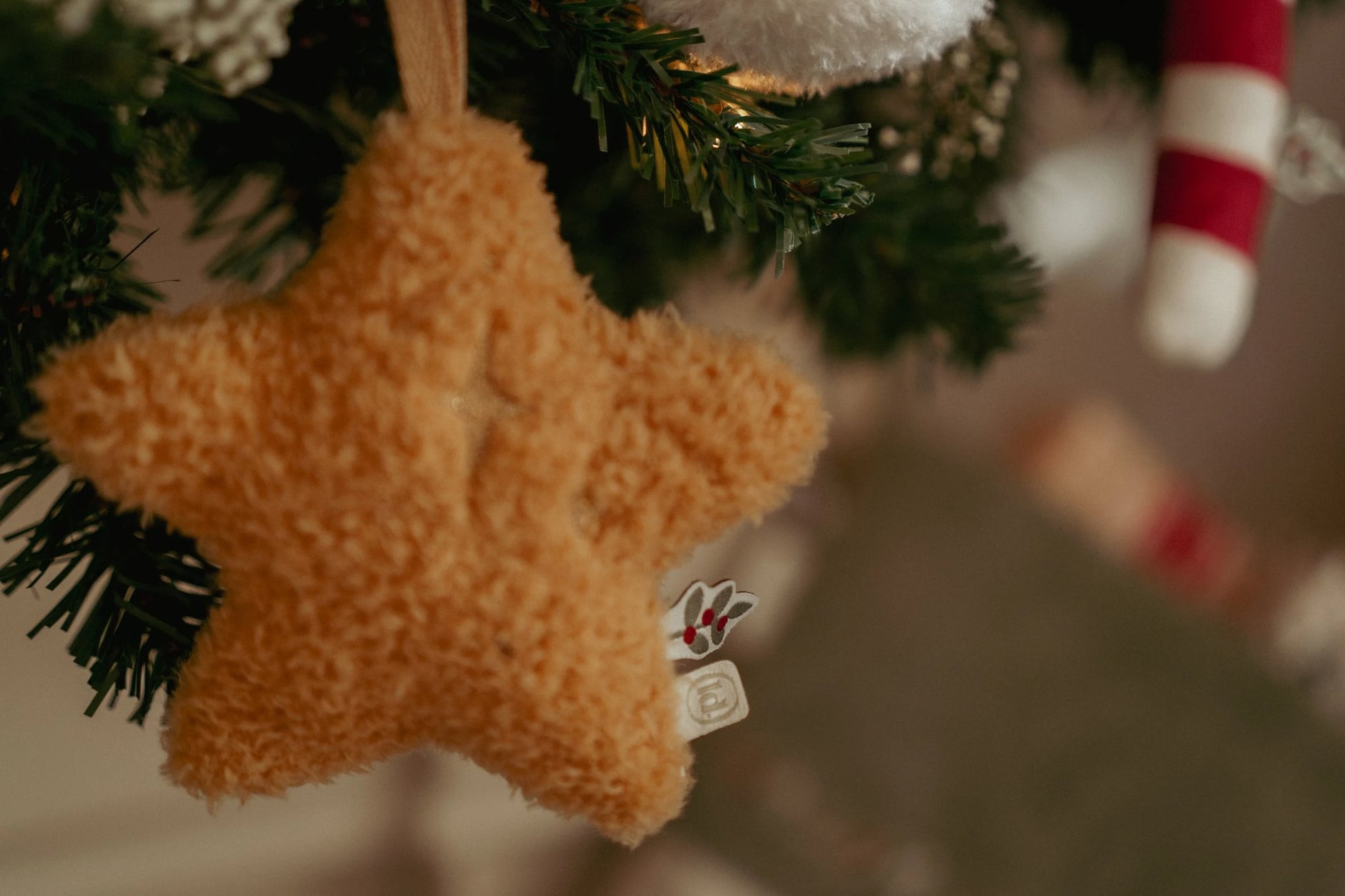 Set 4 Peluche Natalizi - Jim, Pupazzo di Neve, Bastoncino e Stella