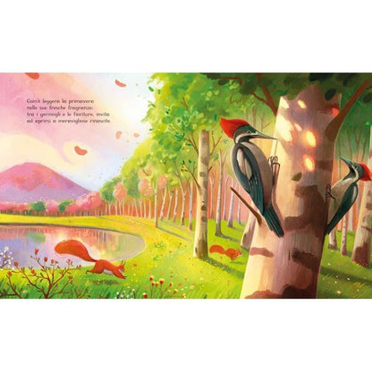 La Primavera Dentro di Me - Libro Sassi Junior - Bambini 4+ Anni - Munakids