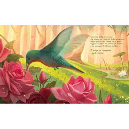 La Primavera Dentro di Me - Libro Sassi Junior - Bambini 4+ Anni - Munakids
