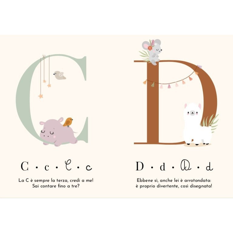 Le mie prime carte. L'alfabeto
