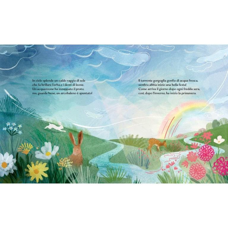 Primavera - Il Pettirosso e le Stagioni - Libro Sassi Junior - Bambini 3+ Anni - Munakids
