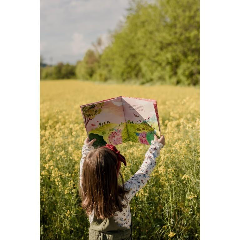 Primavera - Il Pettirosso e le Stagioni - Libro Sassi Junior - Bambini 3+ Anni - Munakids