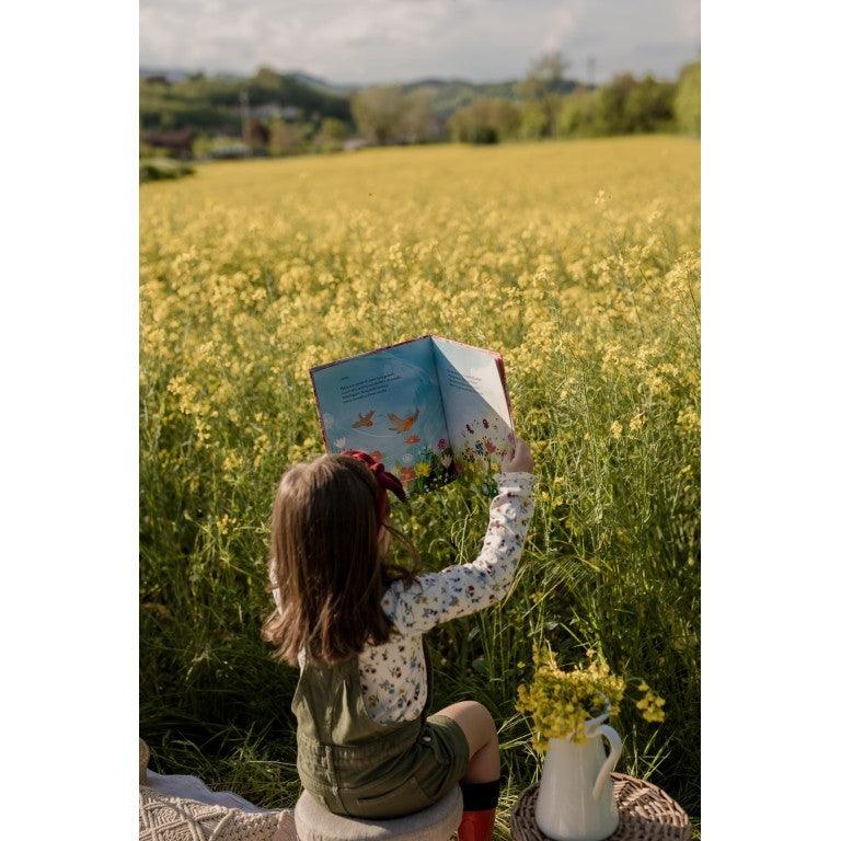 Primavera - Il Pettirosso e le Stagioni - Libro Sassi Junior - Bambini 3+ Anni - Munakids