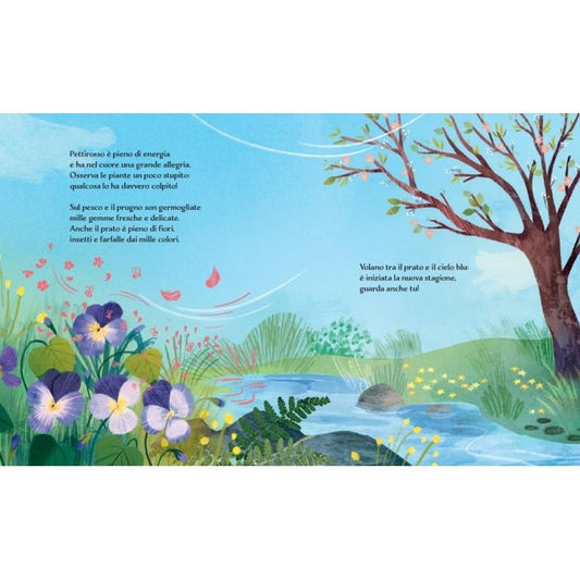 Primavera - Il Pettirosso e le Stagioni - Libro Sassi Junior - Bambini 3+ Anni - Munakids