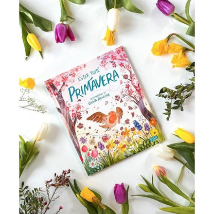 Primavera - Il Pettirosso e le Stagioni - Libro Sassi Junior - Bambini 3+ Anni - Munakids