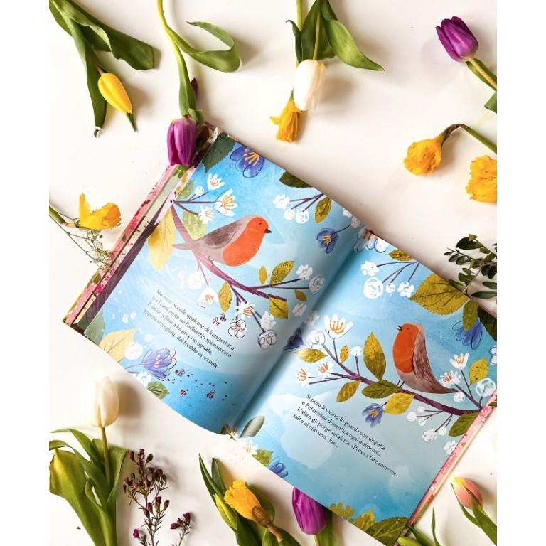 Primavera - Il Pettirosso e le Stagioni - Libro Sassi Junior - Bambini 3+ Anni - Munakids
